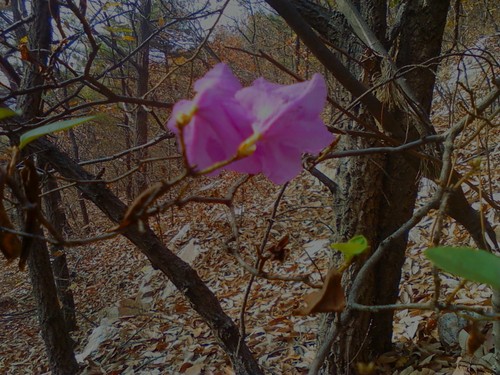 sky303056's profile picture. 모든스트레스는 정치에서온다