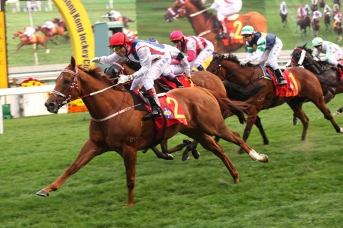 JockeyClub_'s profile picture. We love RACES