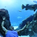 vic allen - @blindchamp - Twitter