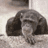 morrisseyweb's profile image