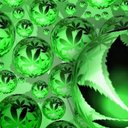 Michael suess - @Madd93dogg - Twitter