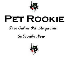PetRookie's profile picture. Pet Rookie Online Magazine