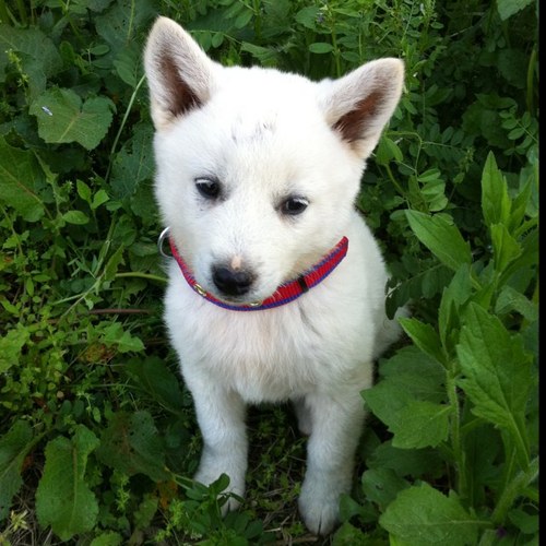 ecoeseul's profile picture. 탈핵, 탈토건, 생명, 평화, 녹색당, 에너지, 환경, 교육에 관심이 있는 농사꾼