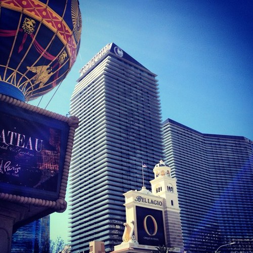 RatPackTravel's profile picture. 