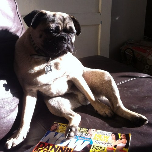 davesimon1201's profile picture. 