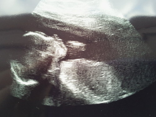 mrsunflower's profile picture. book(comic) reading, video game playing, film watching big kid and father of 2