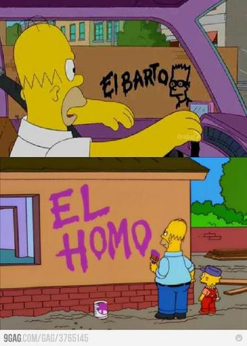 NilsWahle's profile picture. 