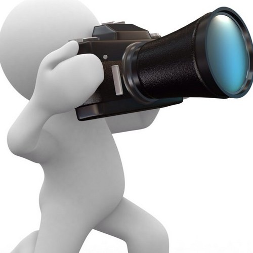 Sischotribe's profile picture. 