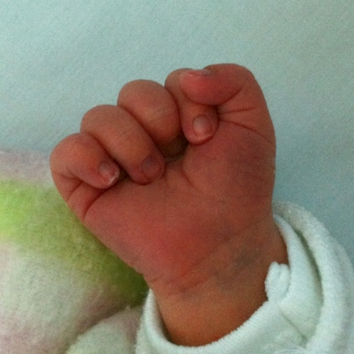 papa_digital_'s profile picture. Paternidad consciente. Experiencias, consejos y apoyo en la red. Lactancia materna, colecho, crianza natutal, #CRYA Papá de 3.