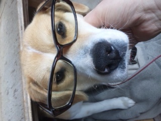 がばヲ♪(完全切替)