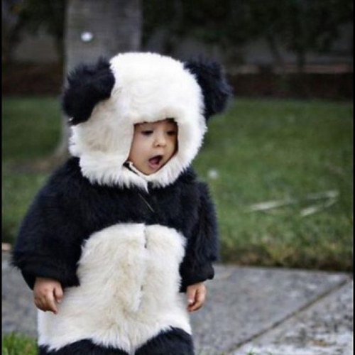 Ollien33's profile picture. The ghost of your past lovers, and your grandparents intimate conversation.mmhhljj