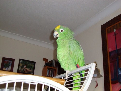 arnoldcarltonve's profile picture. 