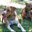 Chris Asman - @Casman219 - Twitter