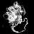 Lyve_Feed