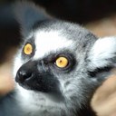 Jenny Benson - @_Jen_Ben - Twitter