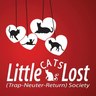 LittleCatsLost's profile picture. We love undercats! Many cats have never known a loving touch or gentle voice. Follow their journey to success. We’re a non profit in Edmonton, Alberta.