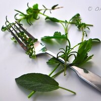 FoodBloggersNetwork (@bloggersfood) 's Twitter Profile