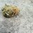 DailyWeedTweets's profile image