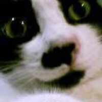 Sanne 🌈 (@anne066) 's Twitter Profile