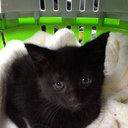 Megan Simmonds - @89_megan - Twitter