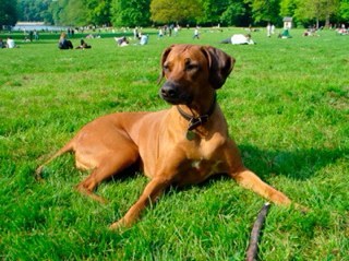 j0c3lyn3's profile picture. 