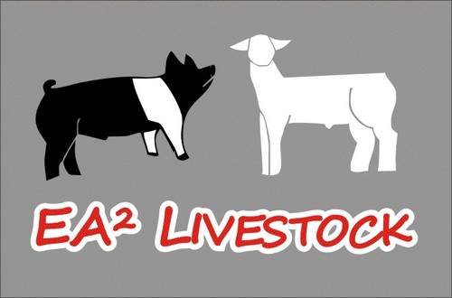 ash_onharrison's profile picture. 