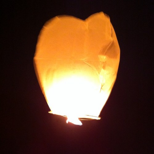 AliciaKemp1's profile picture. Die hard bluenose. Proud of being from Beduff!