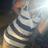 Kaylaa ;* (@bixchimflawless) Twitter profile photo