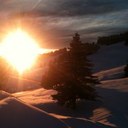 Katrina Nicholson - @NiccoK - Twitter