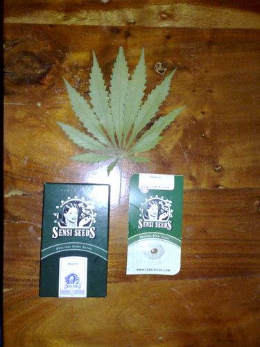 skunkyfunkyman's profile picture. Grew all my life, indoor & outdoor in Scotland. Toker til I die.  Like my skunk & kush strains. Indica, never go wrong. 8 weeks, no probs.. #weed #toker #grower