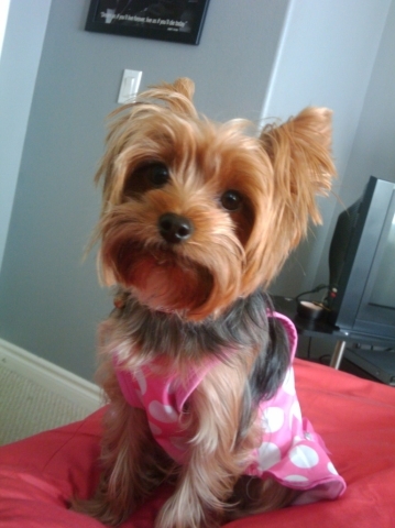 MidniteTrain4GA's profile picture. 