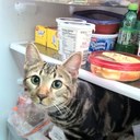 Kenneth krupp - @kxjet - Twitter