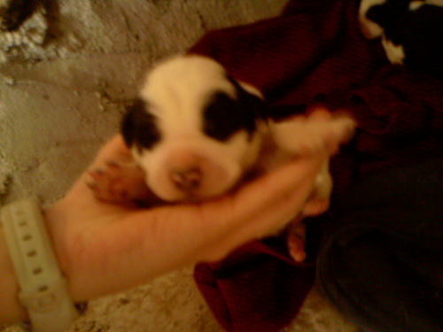 alexcalzadilla's profile picture. Community Managenent en Exposiciones Que Hay En Madrid. Amante del Arte y de las buenas personas