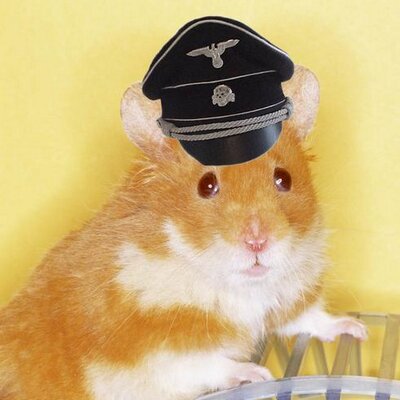 Himmler's Hedgehog (@GoringsGerbil) | Twitter