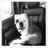 Steinmitchell1's profile image