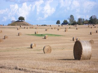 dadsnet's profile picture. 