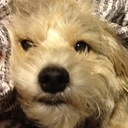 David Brant - @DavidBrant1 - Twitter