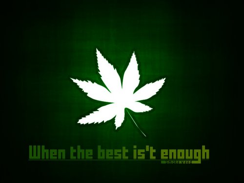 weedprophecy's profile picture. I just like to talk about weed like any stoner. Even if you dont smoke still follow, because my high tweets, are a sober mans thoughts! #HappyasFuck #HAF