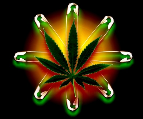 420Thunderkat's profile picture. 