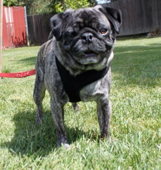 TheTresMorgan's profile picture. 