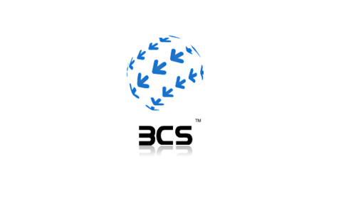 Web Design, Web Customization, Integration, Crystal Report, Database Design, Mobile App, Content Writer SEO