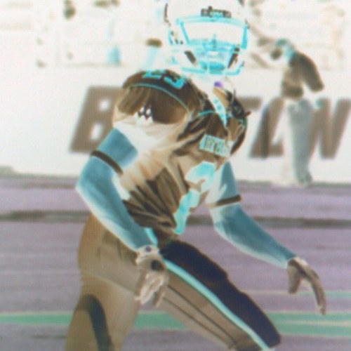 David_Racca's profile picture. 