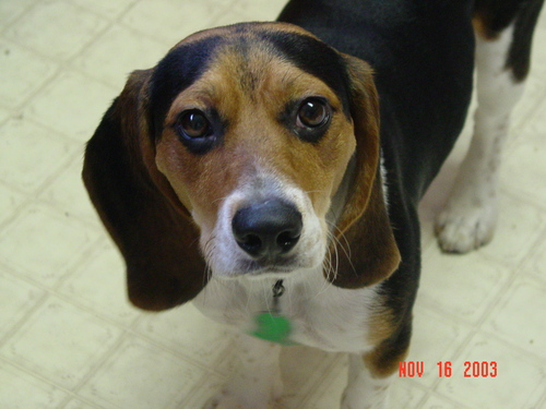 13helene's profile picture. 