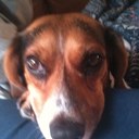 Doug Blythe - @BlytheDoug - Twitter