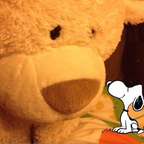 terrenceau's profile picture. 