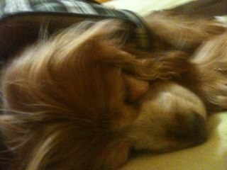 amca1964's profile picture. Dejo de trabajar en Vida Security Marzo 2019