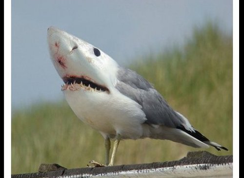 SueCurley73's profile picture. 