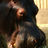 addedgoodness's profile image