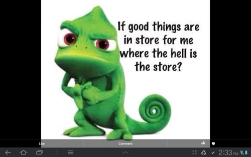 chattytooty's profile picture. delt a bad hand