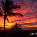 Joyce Stratton - @1stdotsdaughter - Twitter